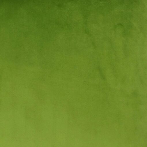 closer look at a pear green rectangular cushion cover.
