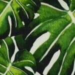 Close up image of green and white outdoor cushion cover with fern design