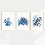 A set of three blue coral wall art prints