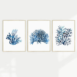 A set of three blue coral wall art prints