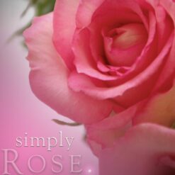 Cosmetic-grade fragrance rose scented soy candle made from all natural ingredients