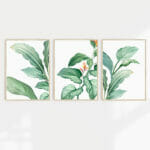 A set of 3 Tropical green foliage wall prints