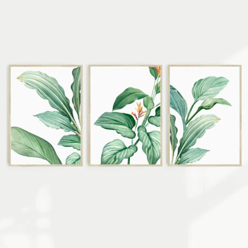 A set of 3 Tropical green foliage wall prints