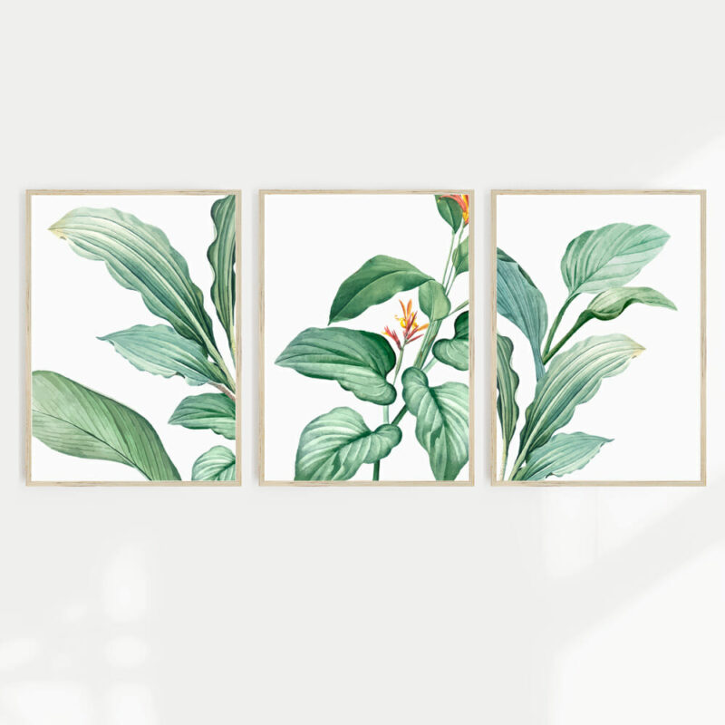 Tropical Wall Art - Set of 3 - WA1003 A set of 3 Tropical green foliage wall prints