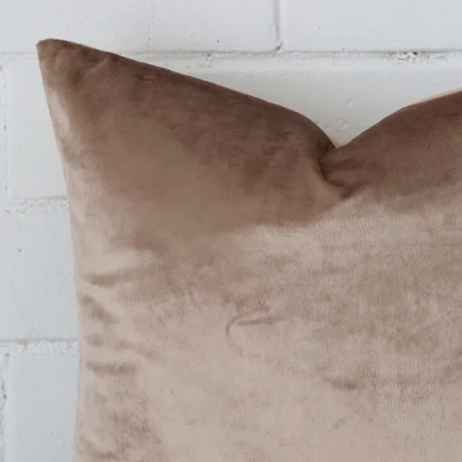 Extreme close up of a square champagne cushion. The velvet fabric is shown with a much higher degree of detail.