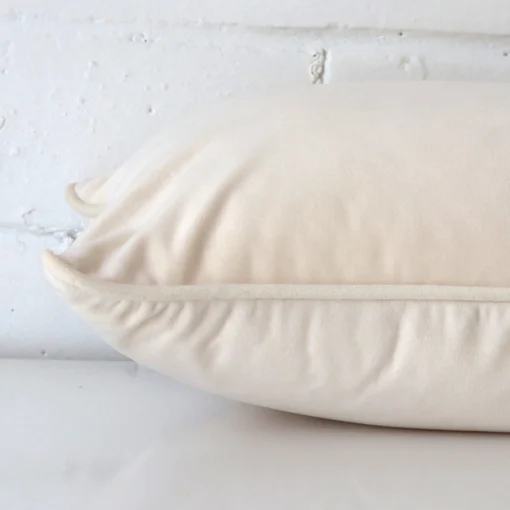 A graceful rectangle cream cushion with a velvet fabric.