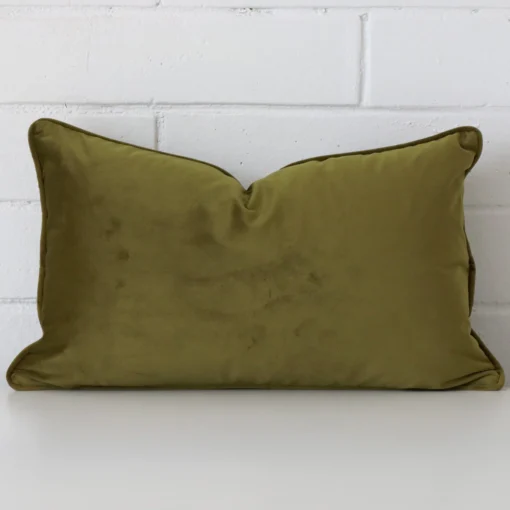 Here a olive velvet cushion is shown styled against a white wall. It has a rectangle design.