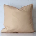 Here a beige outdoor cushion is shown styled against a white wall. It has a large size.