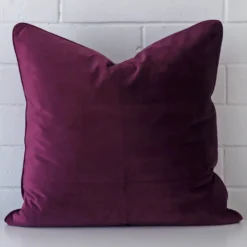 Gorgeous velvet cushion in a purple colour.