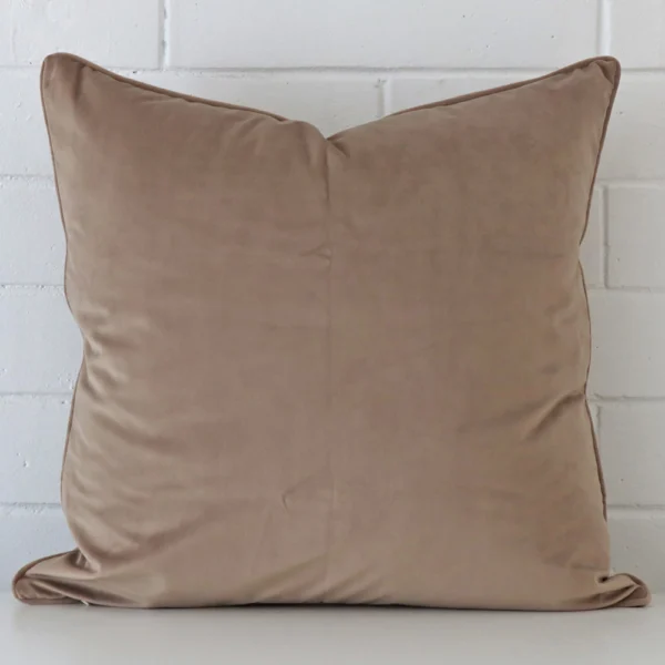 A stunning large velvet cushion in a taupe colour.